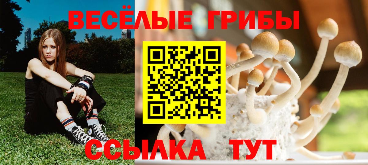 Галлюциногенные грибы Psilocybine cubensis Учалы