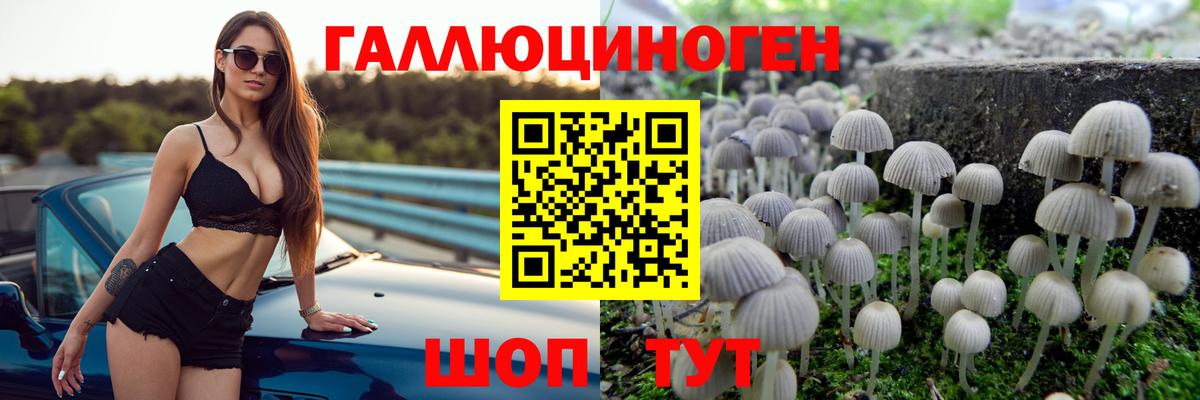 Учалы  Псилоцибиновые грибы мицелий  Галлюциногенные грибы прущие грибы  Вход с VPN 